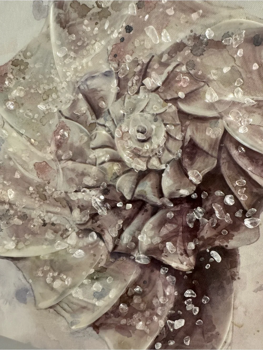 Seashell Wall Art Set - Neutral Tones by